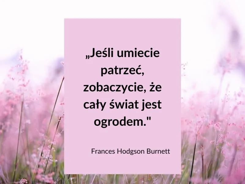Najpiękniejsze krótkie cytaty o lecie, które inspirują i poruszają serce