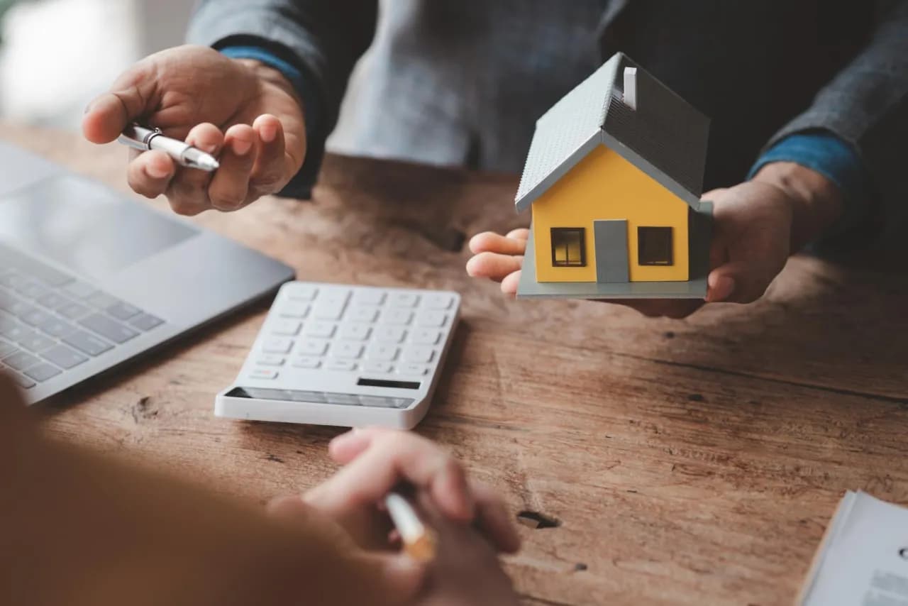 specjalista ds. finansów